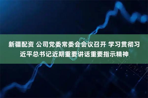 新疆配资 公司党委常委会会议召开 学习贯彻习近平总书记近期重要讲话重要指示精神